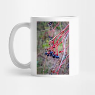 Dogwood Berries 2 Mug